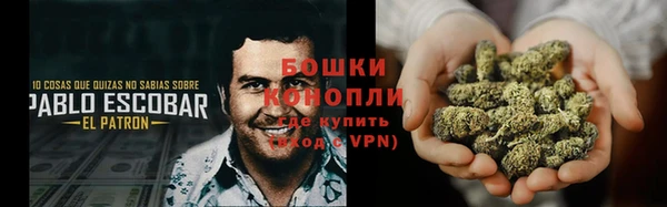 стафф Лабытнанги